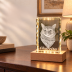Personalized 3D Photo K9 Crystal Keepsake